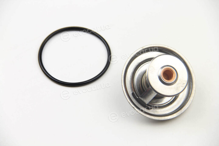 Motorad 247-79K