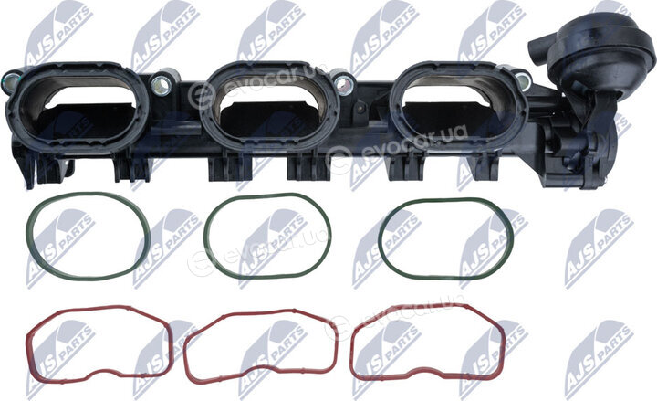 NTY BKS-AU-011