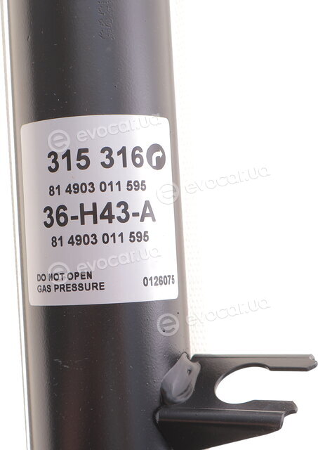 Sachs 315 316