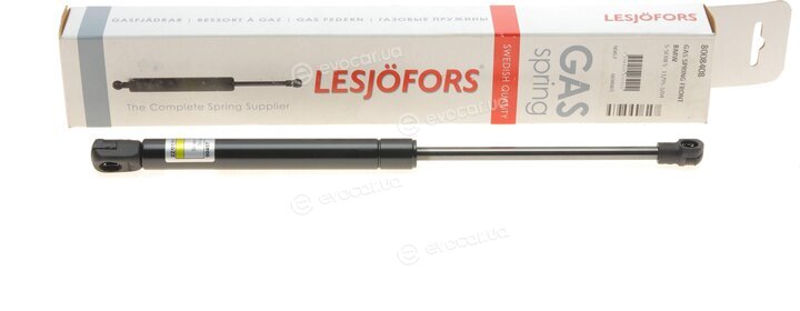 Lesjofors 8008408