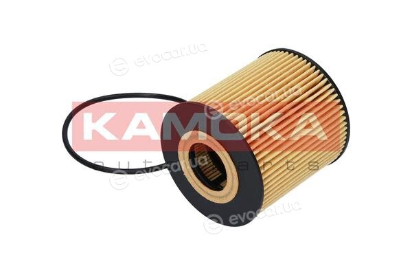 Kamoka F107001