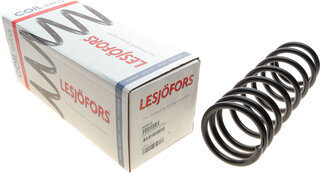 Lesjofors 4259213