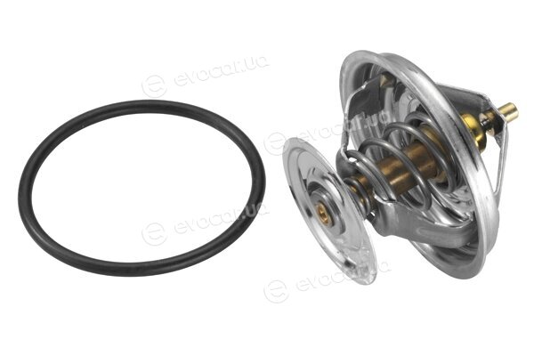 Wahler / BorgWarner 4163.79D