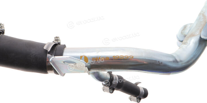 DP CS 81578 NİF