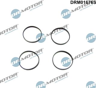 Dr. Motor DRM01676S