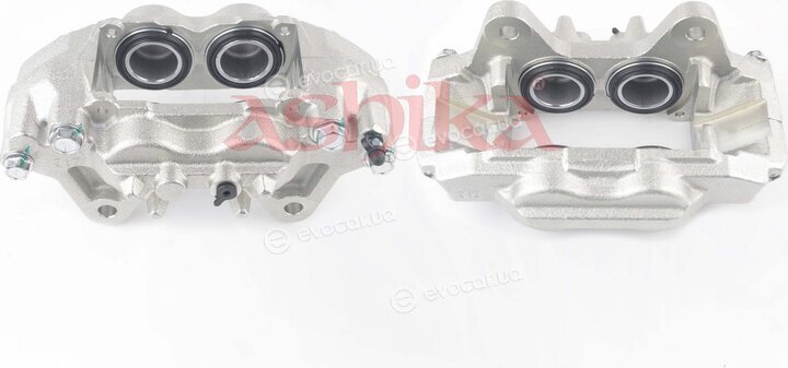 Ashika CAL116LJM