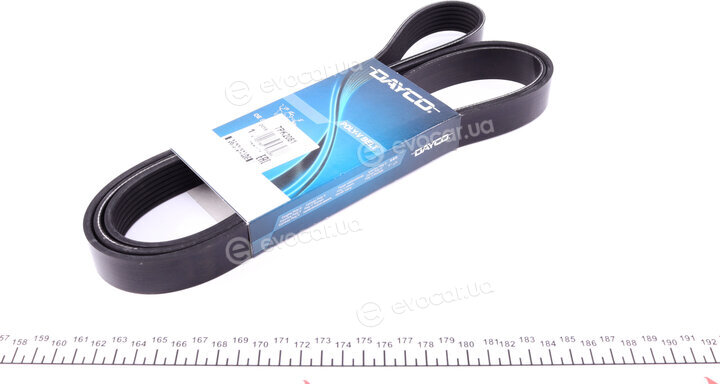 Dayco 7PK2081