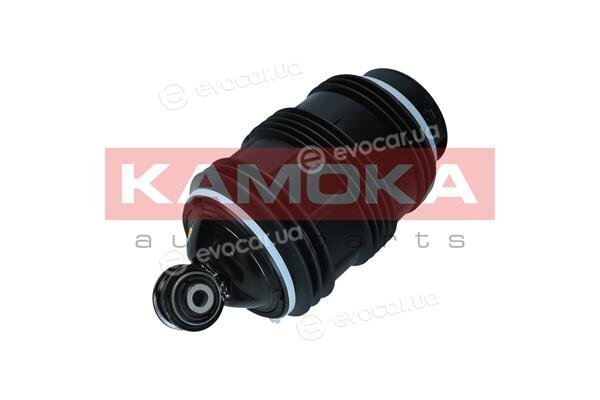Kamoka 2079053