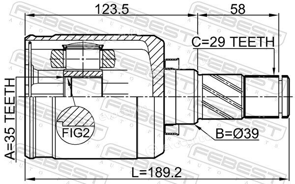 Febest 0211-T31MTLH