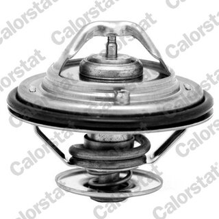 Vernet / Calorstat TH6529.87J
