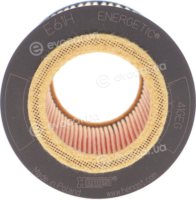 Hengst E61H D258