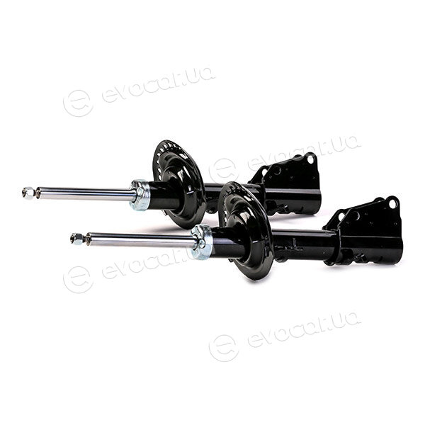 Ridex 854S2087