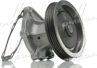 Dolz T221