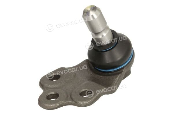 Reinhoch RH03-1009
