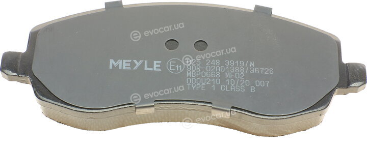 Meyle 025 248 3919/W
