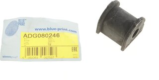 Blue Print ADG080246
