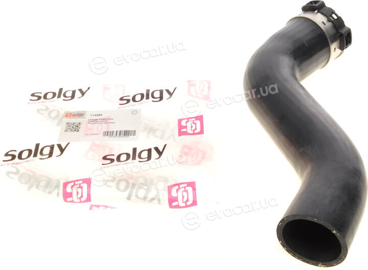 Solgy 114263