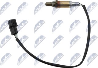 NTY ESL-MS-005