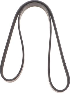 Dayco 4PK1013
