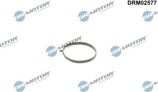 Dr. Motor DRM02577