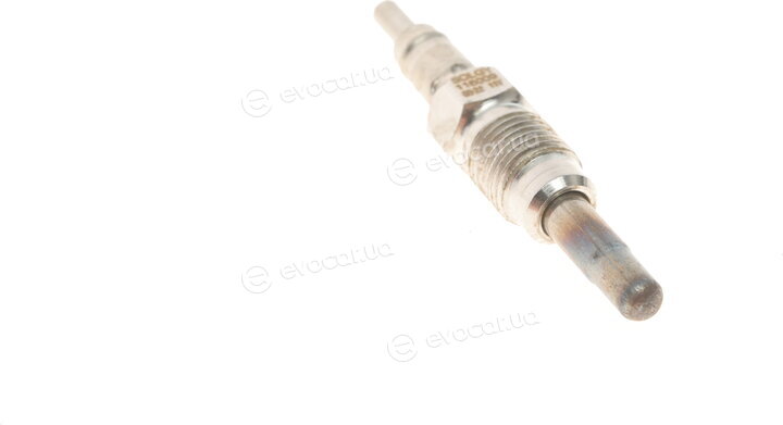 Solgy 116009