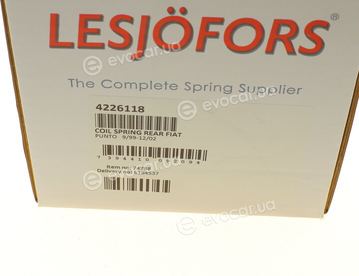 Lesjofors 4226118