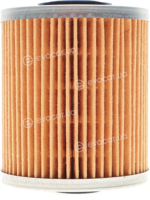 Solgy 102022
