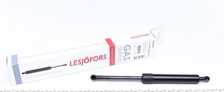 Lesjofors 8104203