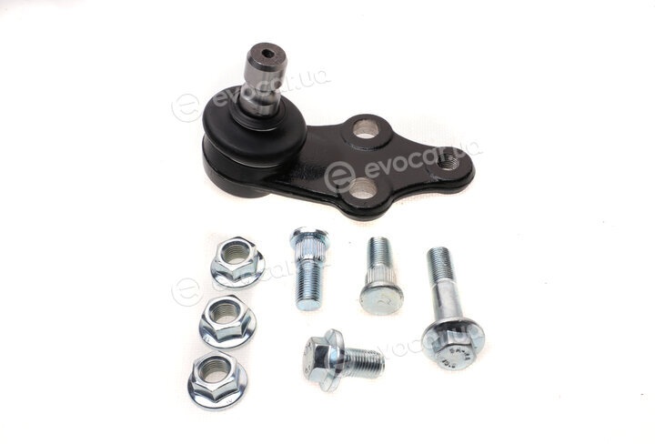 Blue Print ADG086323