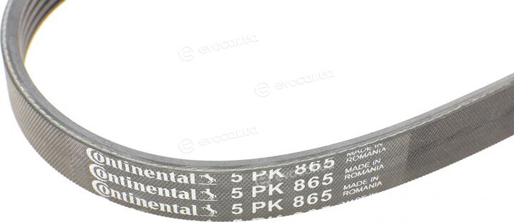 Continental 5PK865