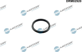 Dr. Motor DRM02920