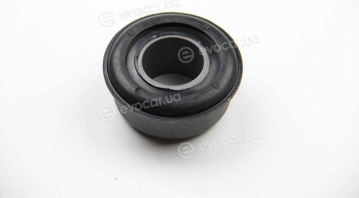 BC Guma 0832