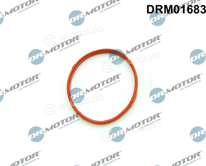 Dr. Motor DRM01683