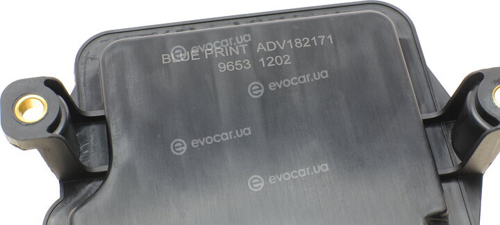 Blue Print ADV182171