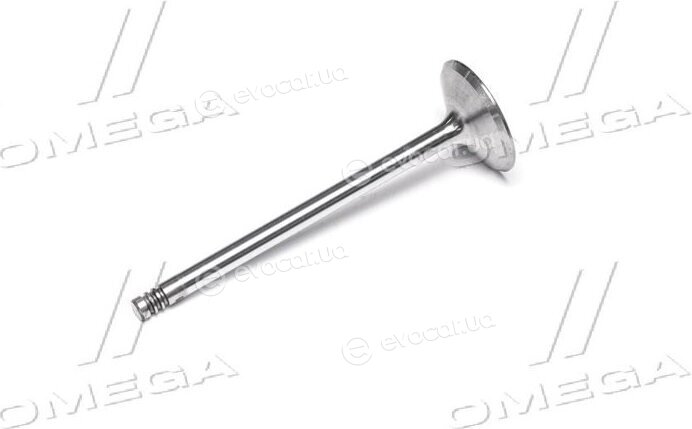 Gunes 4037