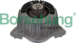 Borsehung B12645