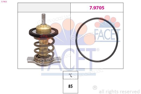 Facet 7.7953