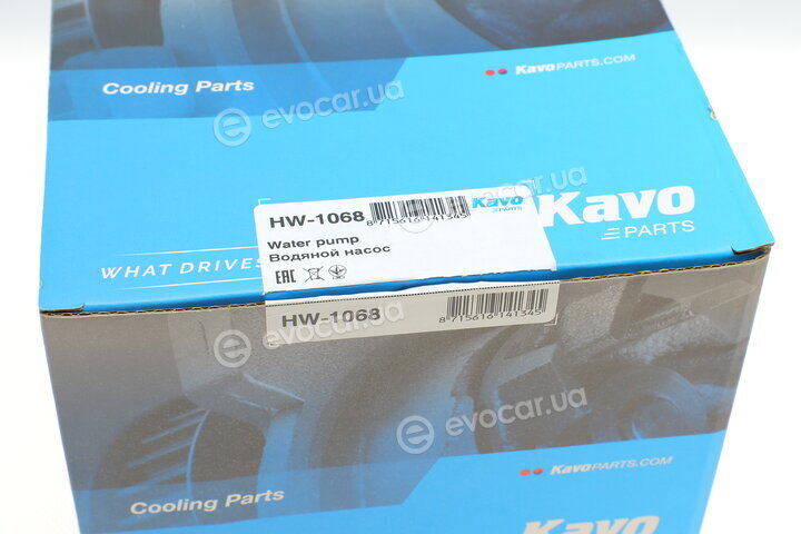 Kavo HW-1068