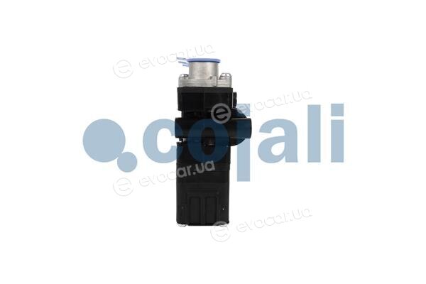Cojali 2209476