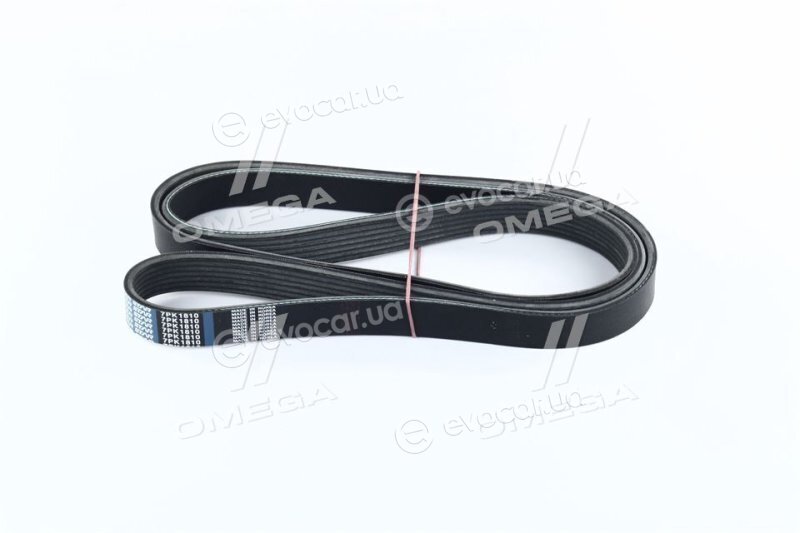 Dongil 7PK1810