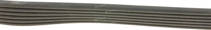 Dayco 6PK2195