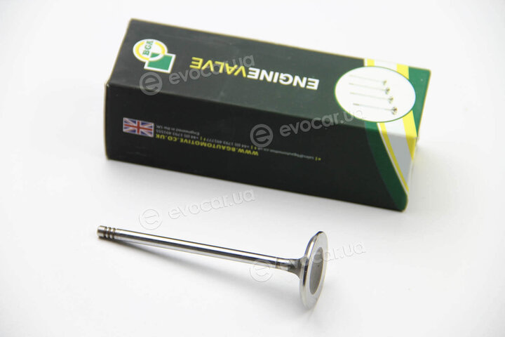 BGA V165020