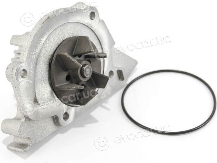 Dolz C154