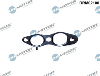 Dr. Motor DRM02100