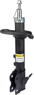 Raiso RS318220