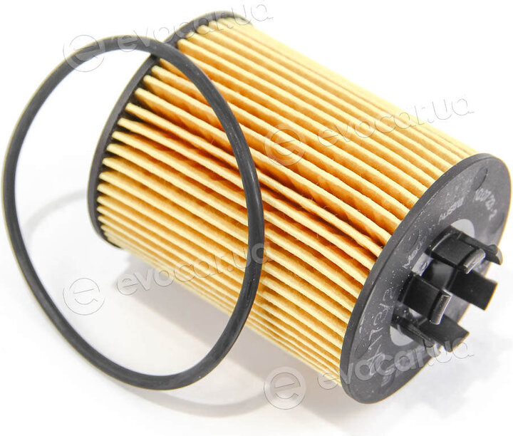 Mahle OX 173/2D
