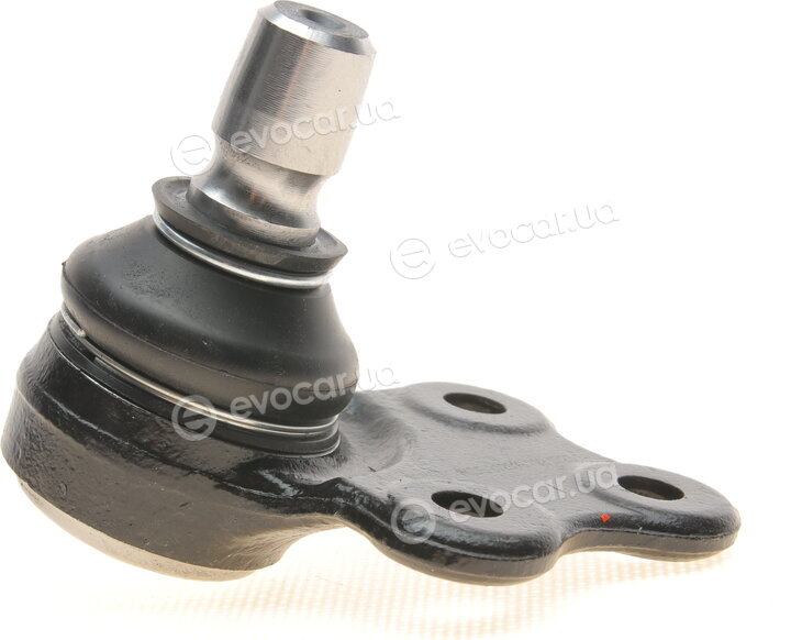 SKF VKDS 312019