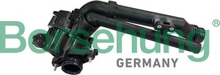 Borsehung B10565