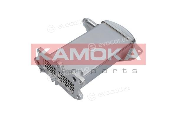 Kamoka 19C069