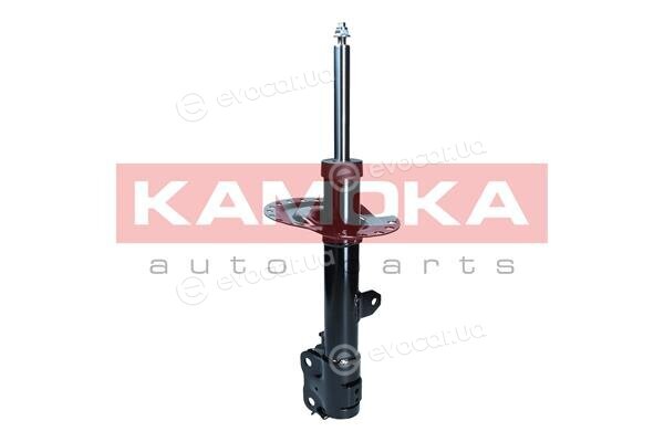Kamoka 2001105